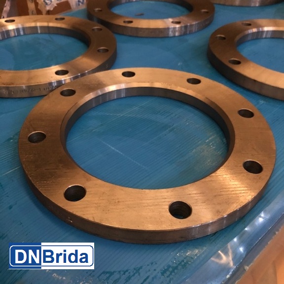 Brida loca EN-1092-1 tipo 02<br>DN200 PN10<br>Material: P250GH